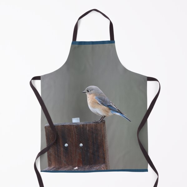 Item preview, Pretty Eastern Bluebird designed and sold by LisaNaturePhoto.