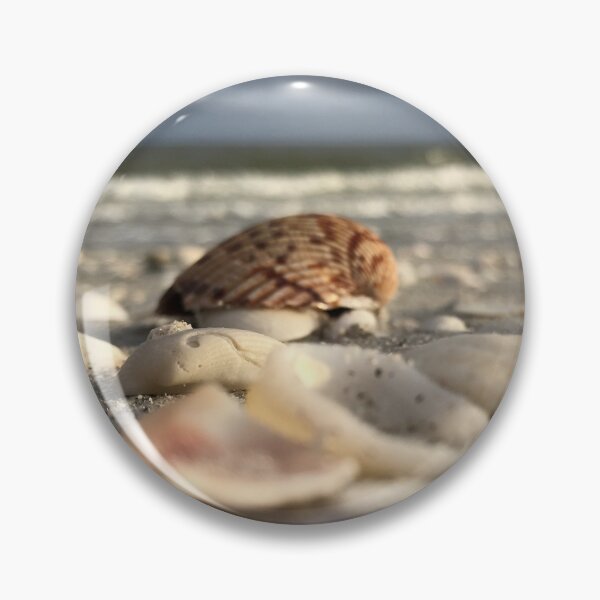 Item preview, Seashells at the beach washed ashore designed and sold by timg58.