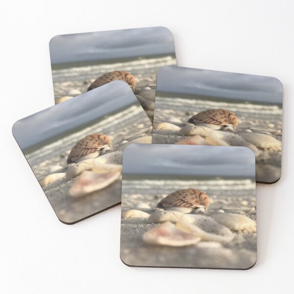 Item preview, Seashells at the beach washed ashore designed and sold by timg58.
