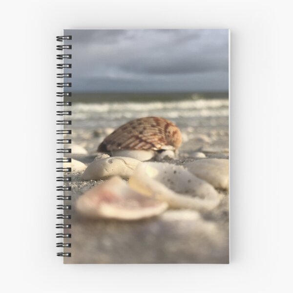 Item preview, Seashells at the beach washed ashore designed and sold by timg58.