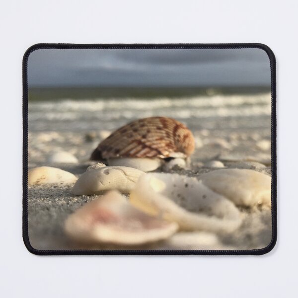 Item preview, Seashells at the beach washed ashore designed and sold by timg58.