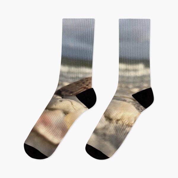Item preview, Seashells at the beach washed ashore designed and sold by timg58.