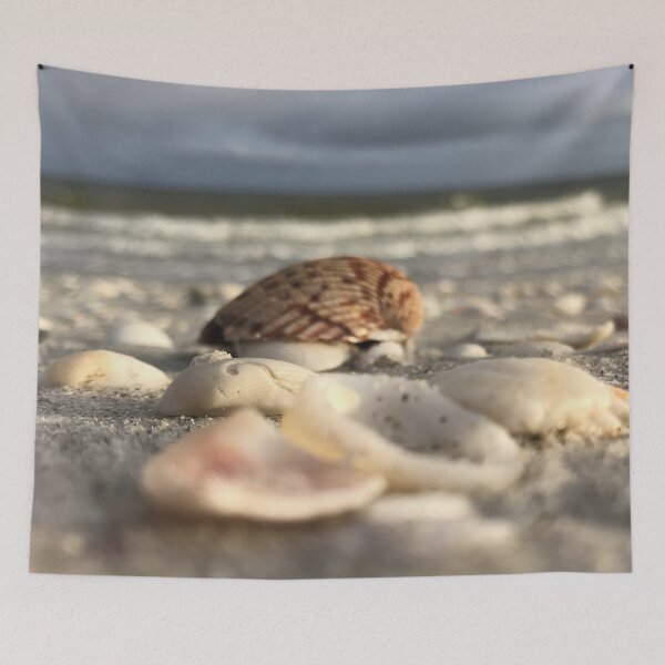 Item preview, Seashells at the beach washed ashore designed and sold by timg58.