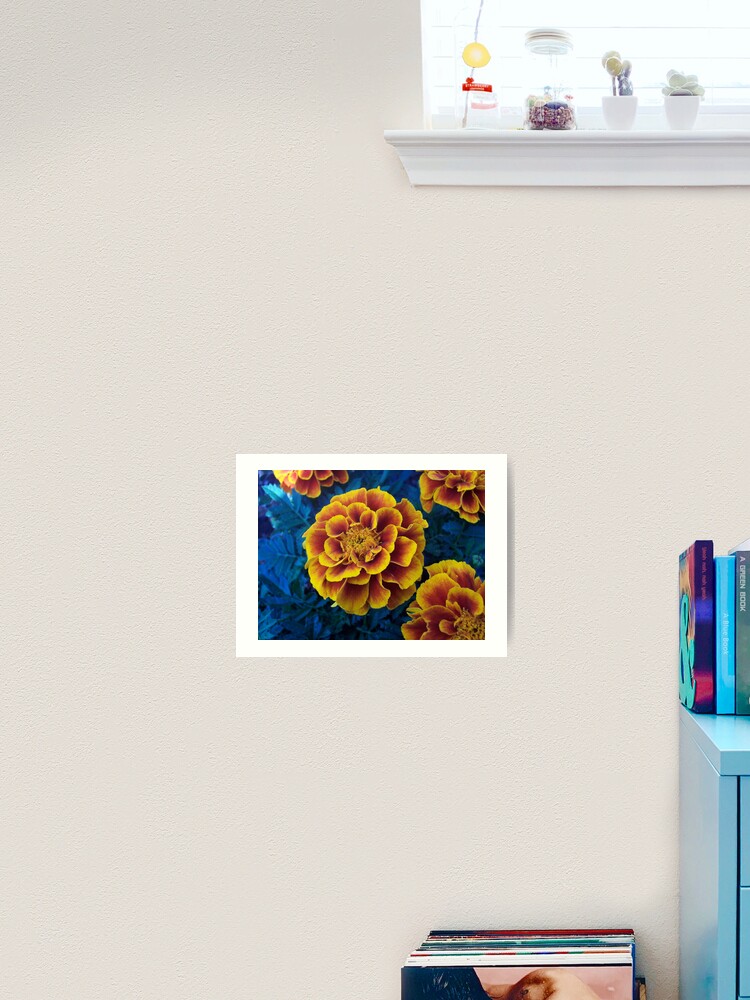 Thumbnail 2 of 3, Art Print, Marigold designed and sold by RenaissanceRose.