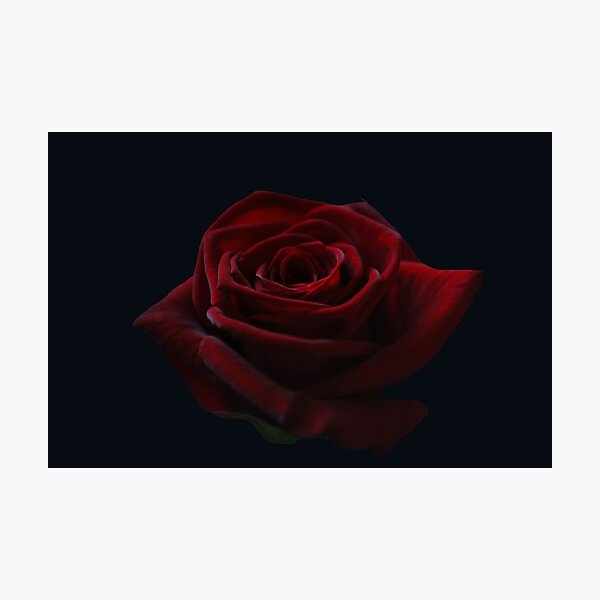 Item preview, RedRose designed and sold by Els Steutel.