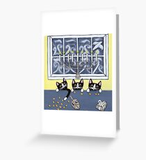 Hanukkah Kitties Greeting Card