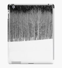 winter iPad Case/Skin