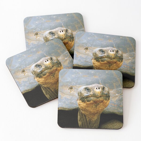 Item preview, Giant Tortoise 'Lonesome George', Galapagos Islands, Ecuador designed and sold by Paris Lee.