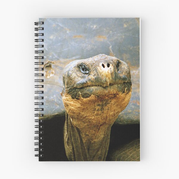 Item preview, Giant Tortoise 'Lonesome George', Galapagos Islands, Ecuador designed and sold by Paris Lee.