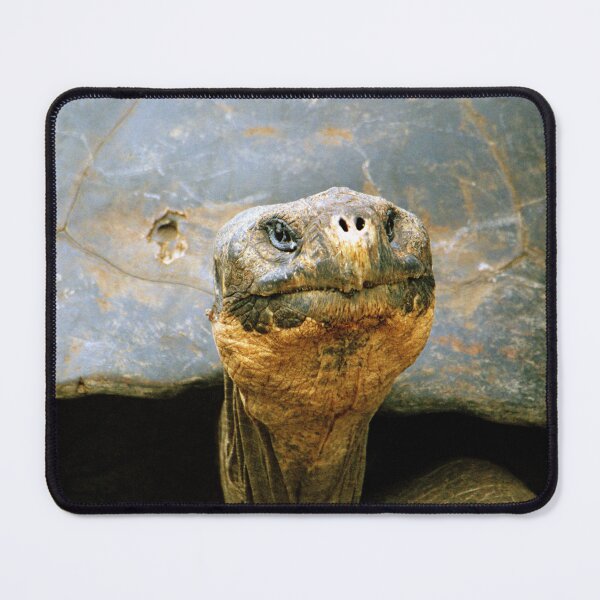 Item preview, Giant Tortoise 'Lonesome George', Galapagos Islands, Ecuador designed and sold by Paris Lee.