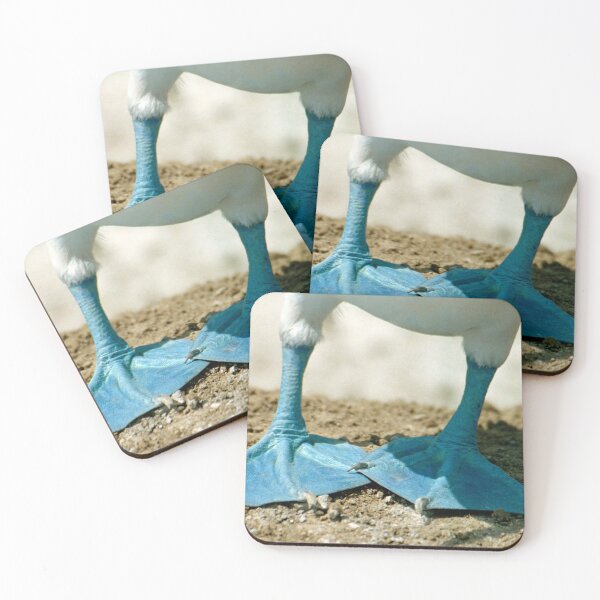 Item preview, Blue Footed Booby Bird Feet, Isla de la Plata, Ecuador designed and sold by Paris Lee.