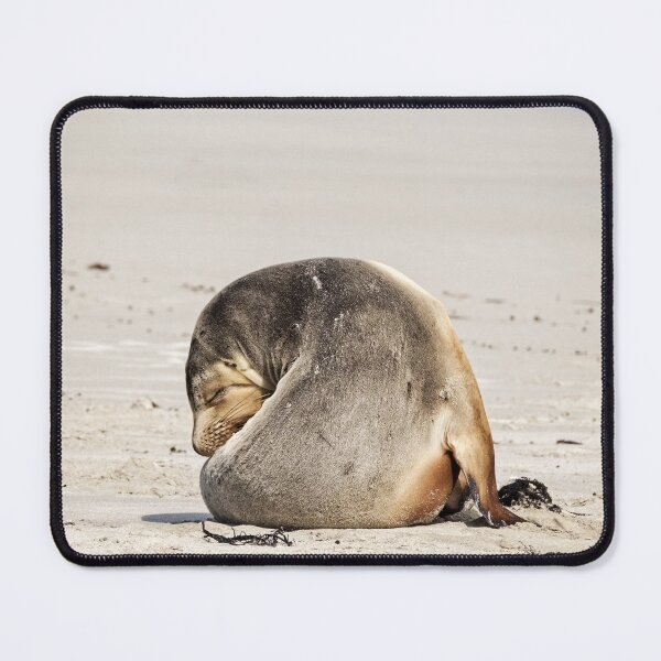 Item preview, Australian Sea Lion Wake Me Up Before you Go Go designed and sold by Catherine Reading.