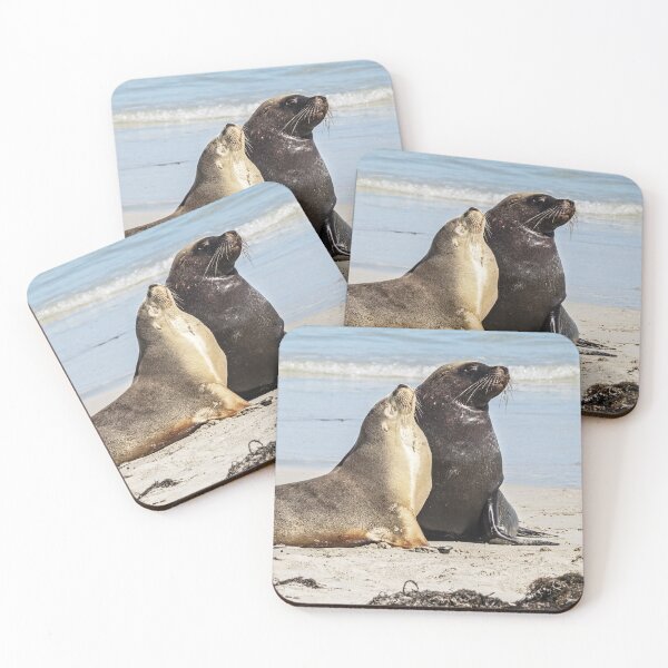 Item preview, Australian Sea Lions On The Beach designed and sold by Catherine Reading.