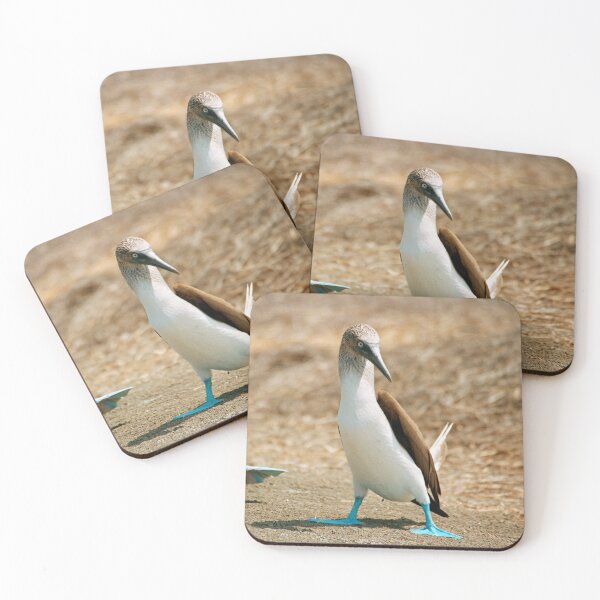 Item preview, Blue Footed Booby Bird Dance, Isla de la Plata, Ecuador designed and sold by Paris Lee.