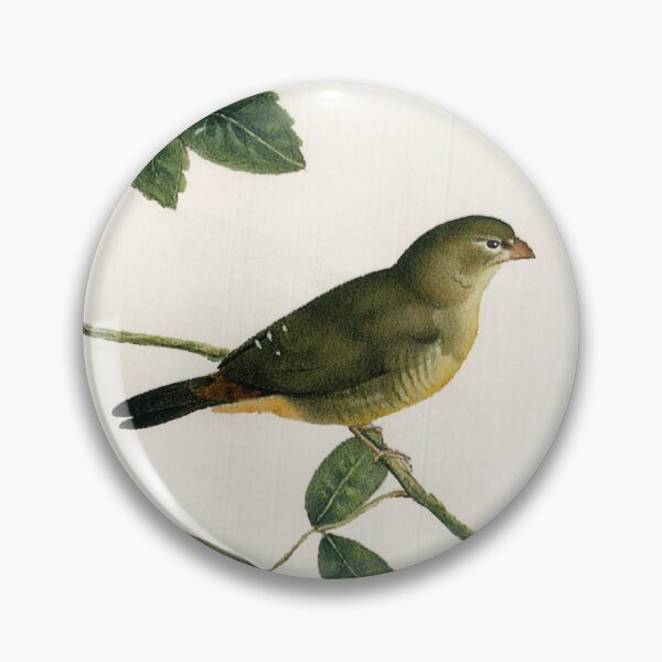 Item preview, Painting of a Bird by Kamal-ol-molk designed and sold by Amanda1775.