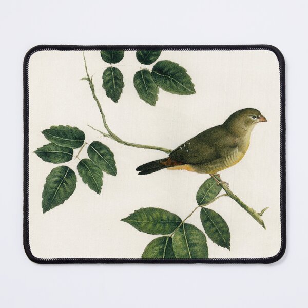 Item preview, Painting of a Bird by Kamal-ol-molk designed and sold by Amanda1775.