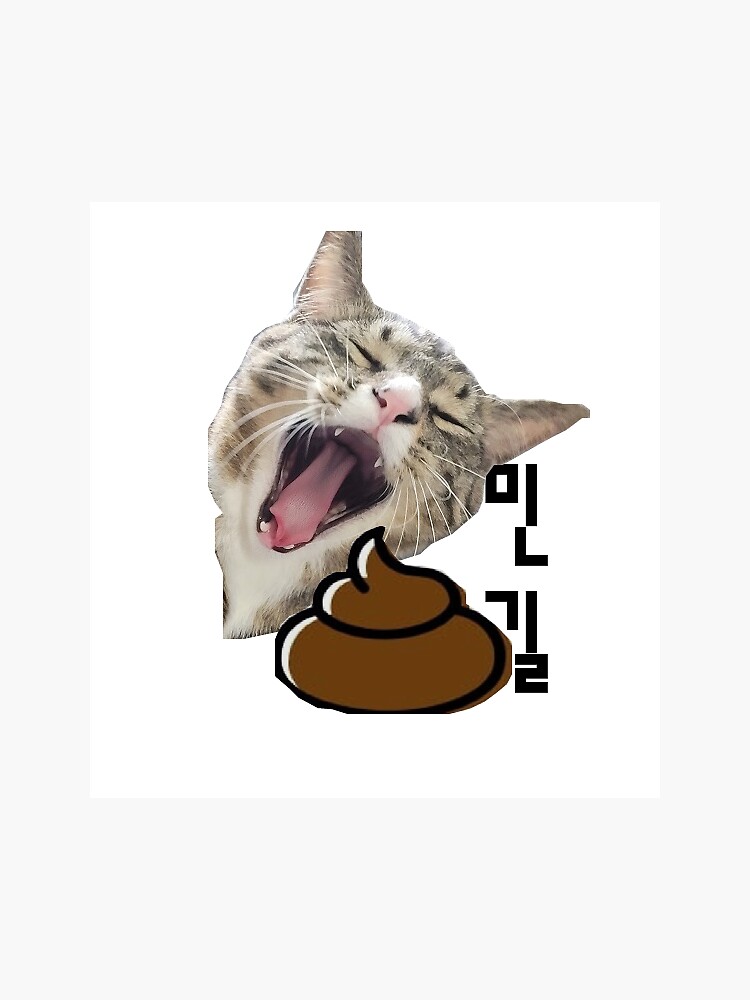 "Cats are sensitive to smells" Sticker by ChoiMinGil Redbubble