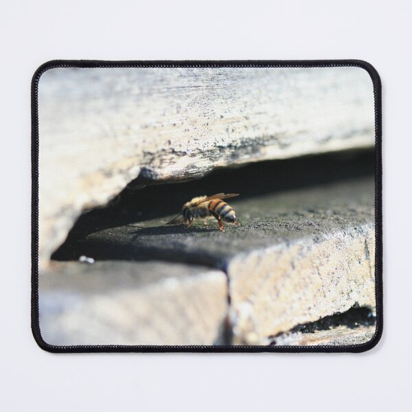 Item preview, Landing Bee designed and sold by ezcreate.media.