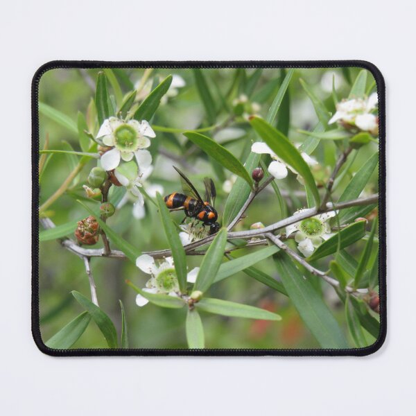 Item preview, Bottlebrush sawfly designed and sold by greentiger1.