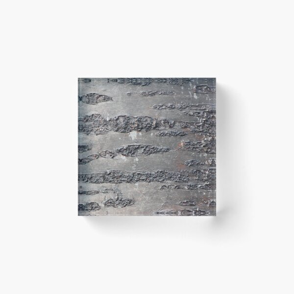 Item preview, tree bark texture designed and sold by Emma  Amies.