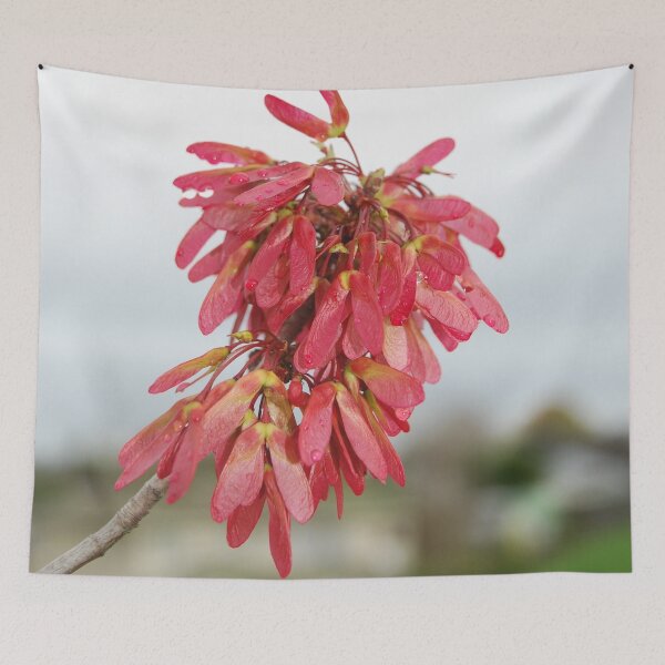 Item preview, Red Maple designed and sold by lizdomett.