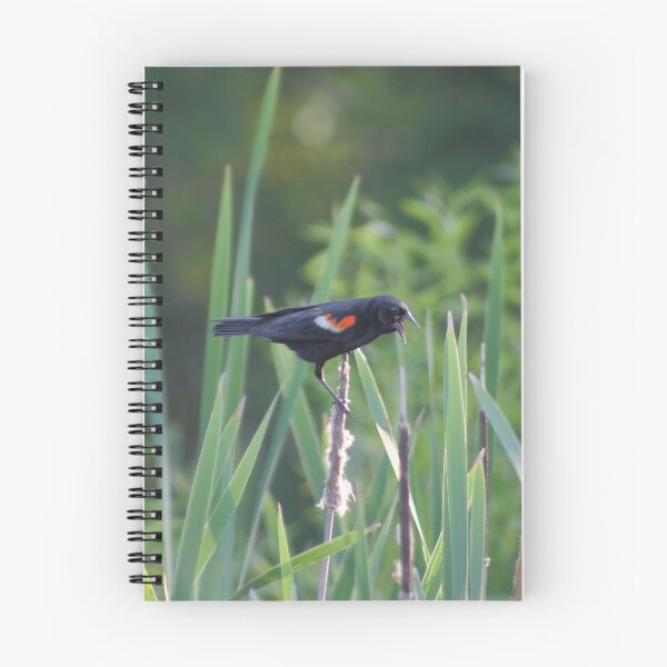 Item preview, Red Winged Blackbird designed and sold by dlamb.