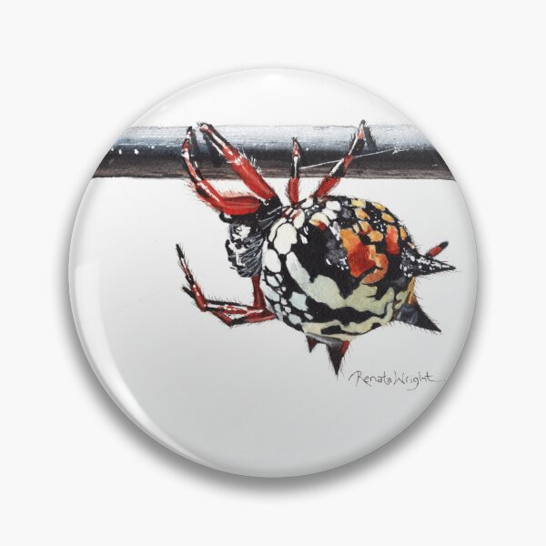 Item preview, Klaus - Austracantha Minax designed and sold by Renata Wright.