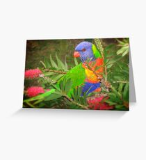Feasting on flowers Greeting Card