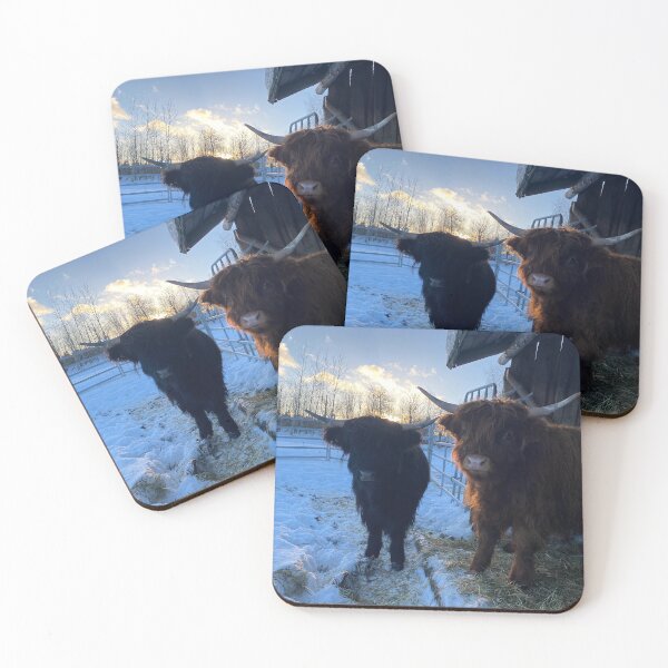 Item preview, Scottish Highland Cattle Calves 3171 designed and sold by SaarelaHighland.