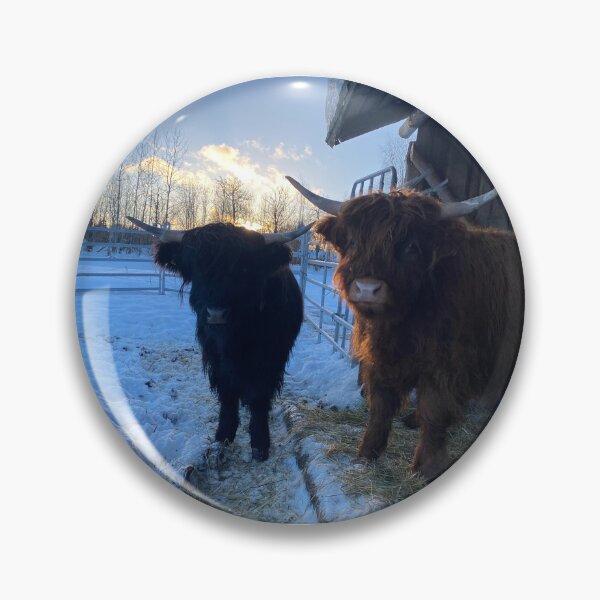 Artikelvorschau, Scottish Highland Cattle Calves 3171 entworfen und verkauft von SaarelaHighland.