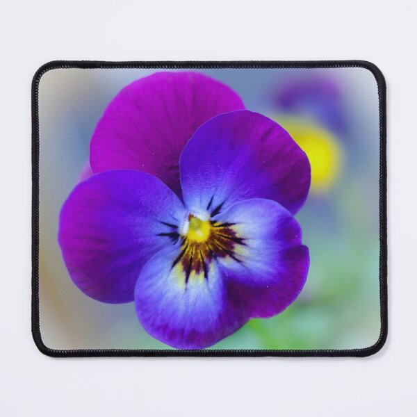 Item preview, Violet designed and sold by Anita van Gendt.