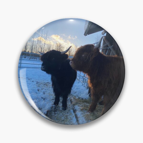 Artikelvorschau, Scottish Highland Cattle Calves 3172 entworfen und verkauft von SaarelaHighland.