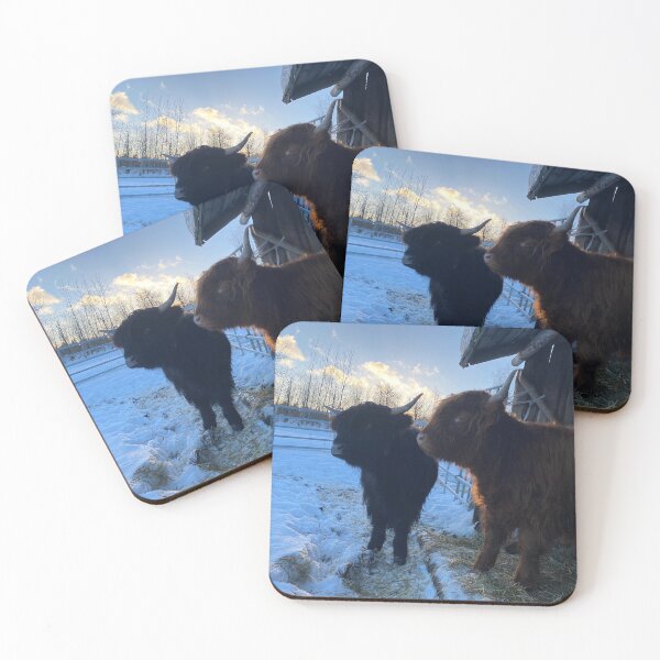 Item preview, Scottish Highland Cattle Calves 3172 designed and sold by SaarelaHighland.