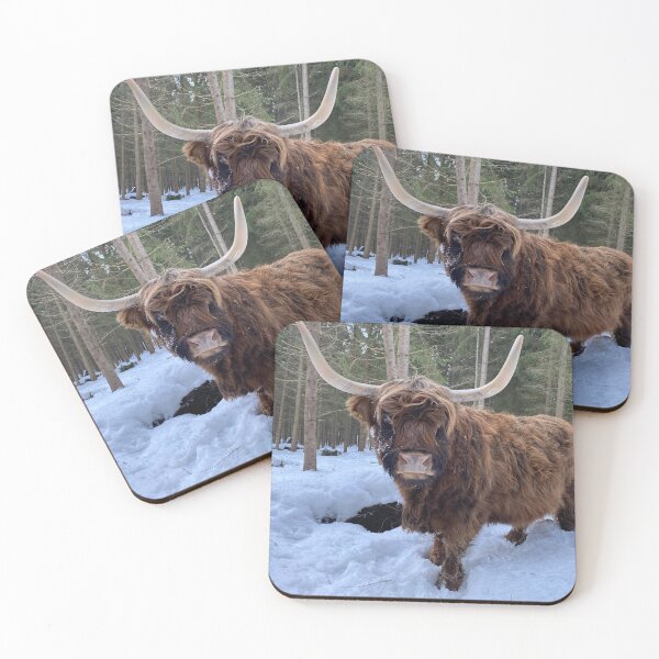 Item preview, Scottish Highland Cattle Cow 3176 designed and sold by SaarelaHighland.