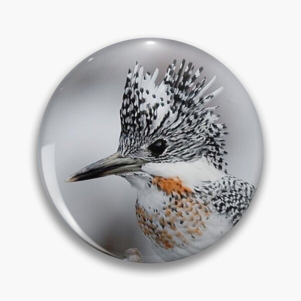 Item preview, Crested Kingfisher designed and sold by ritusdesigns.