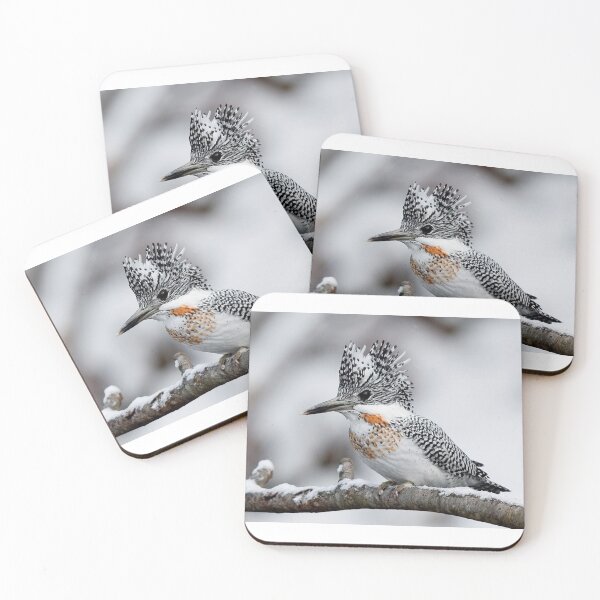 Item preview, Crested Kingfisher designed and sold by ritusdesigns.