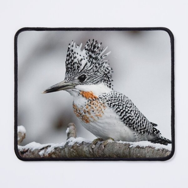 Item preview, Crested Kingfisher designed and sold by ritusdesigns.