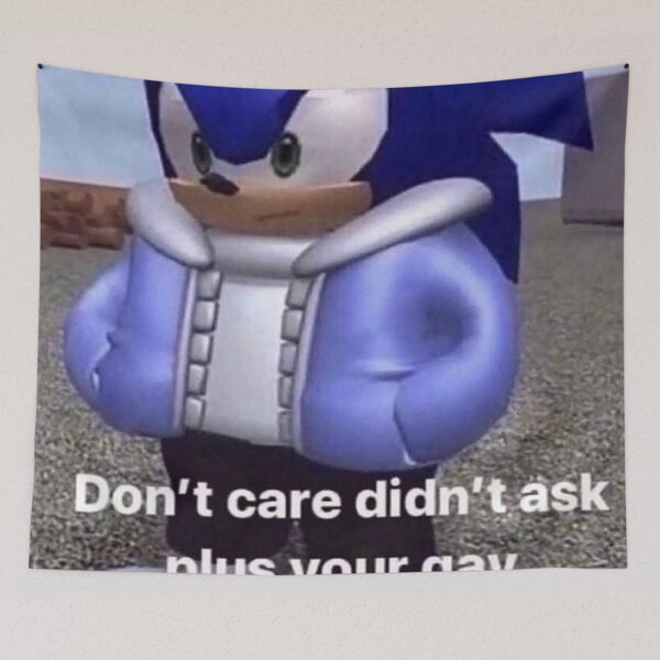 Item preview, sonic dont care didnt ask meme designed and sold by Rainfalling.