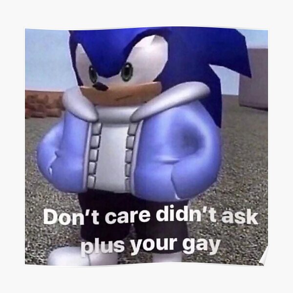 Sonic Dont Care Didnt Ask Meme Poster For Sale By Rainfalling Redbubble 
