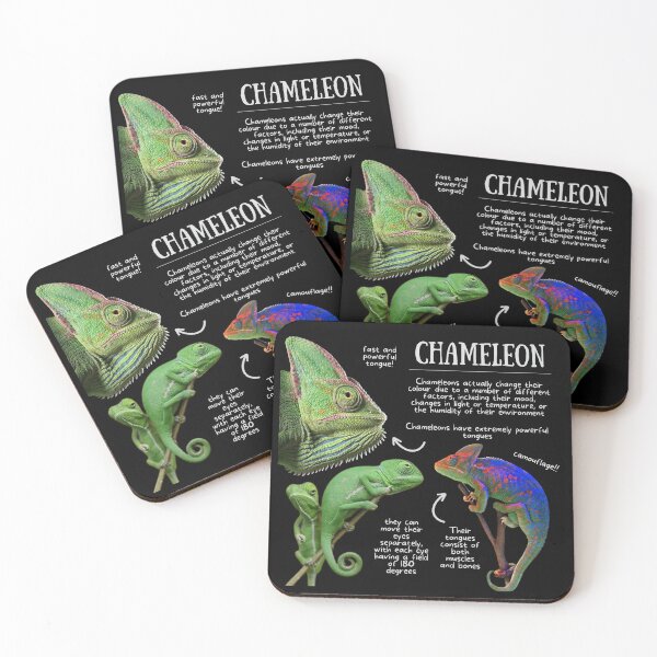 Item preview, Chameleon Fun Facts designed and sold by KyleNesas.