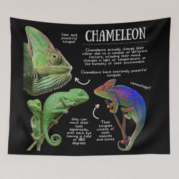 Item preview, Chameleon Fun Facts designed and sold by KyleNesas.