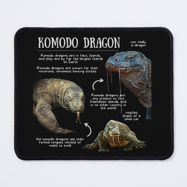 Item preview, Komodo Dragon Fun Facts designed and sold by KyleNesas.