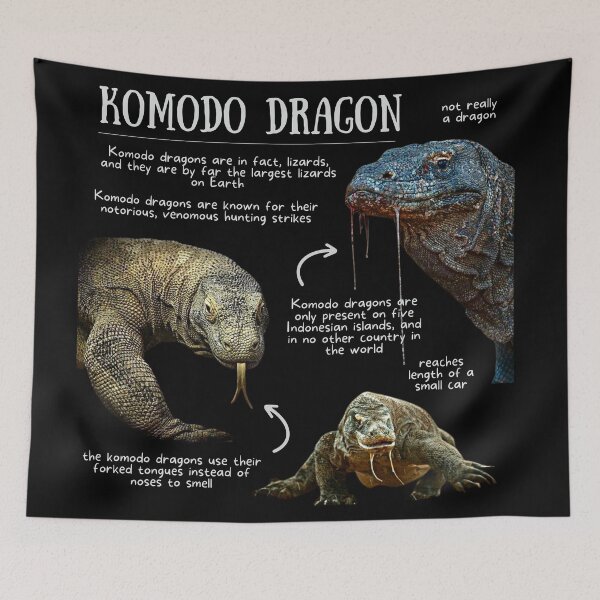 Item preview, Komodo Dragon Fun Facts designed and sold by KyleNesas.