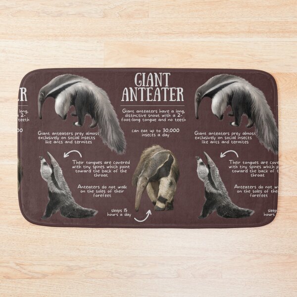 Item preview, Giant Anteater Fun Facts designed and sold by KyleNesas.