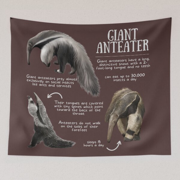 Item preview, Giant Anteater Fun Facts designed and sold by KyleNesas.