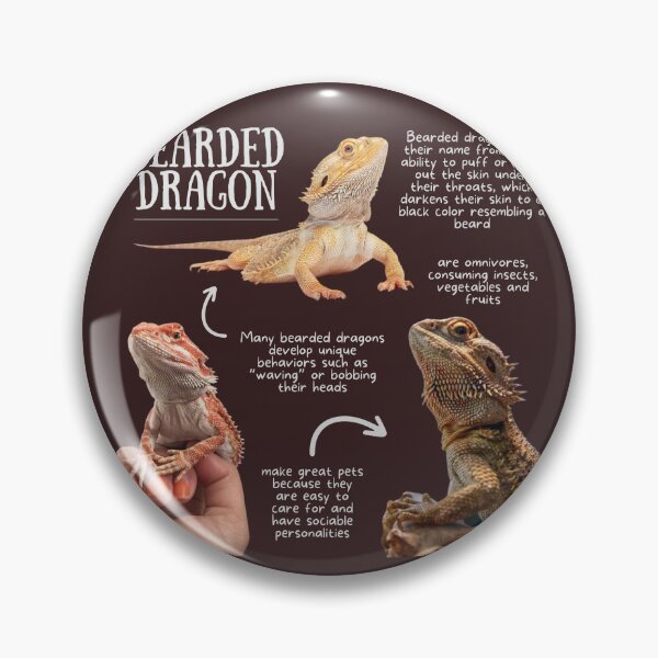 Item preview, Bearded Dragon Fun Facts designed and sold by KyleNesas.