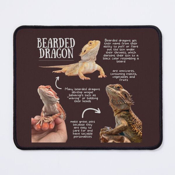 Item preview, Bearded Dragon Fun Facts designed and sold by KyleNesas.