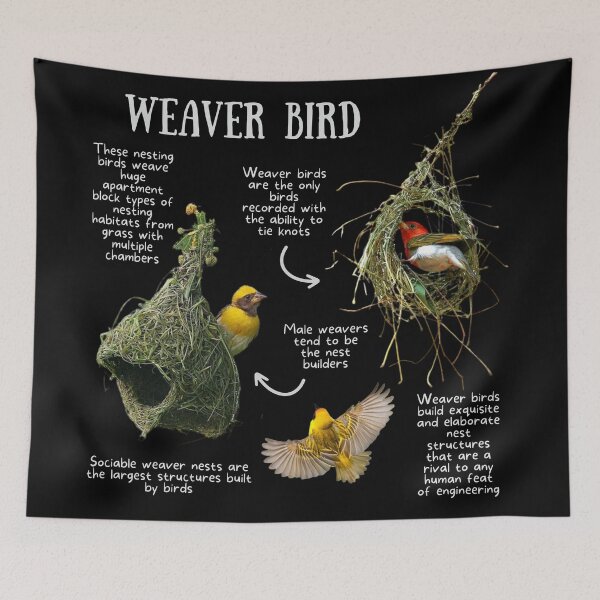 Item preview, Weaver bird Fun Facts designed and sold by KyleNesas.