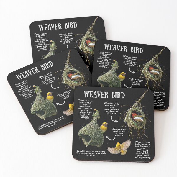 Item preview, Weaver bird Fun Facts designed and sold by KyleNesas.