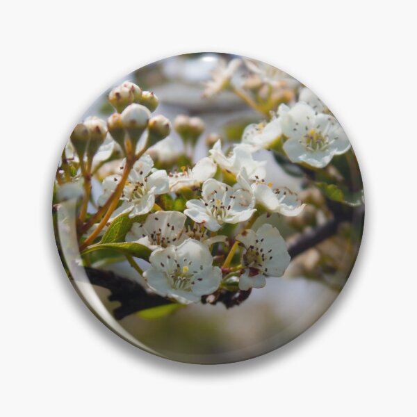 Item preview, Spring white pear tree flowers designed and sold by chiaravisuals.